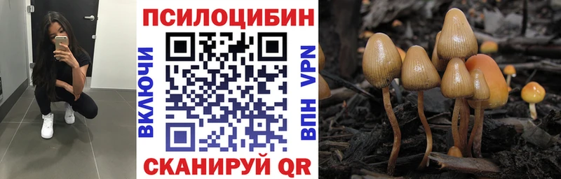 гидра ССЫЛКА  купить  сайты  Белёв  Псилоцибиновые грибы мицелий 